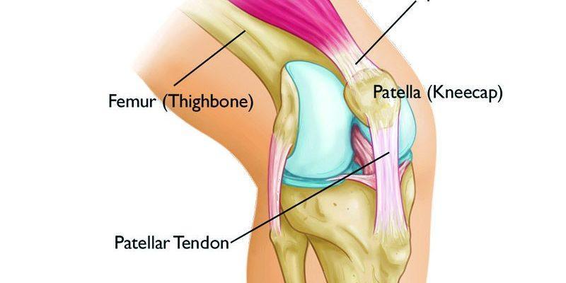 How is Knee Pain Diagnosed?